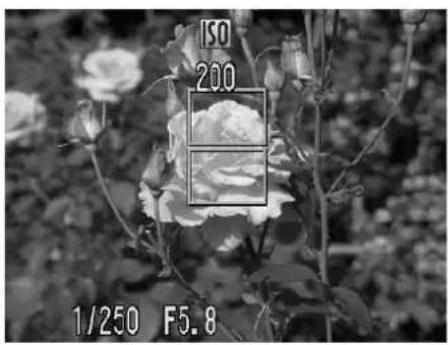 CANON IXUS 980 IS - Changing the Composition to Shoot (Focus Lock) - 1