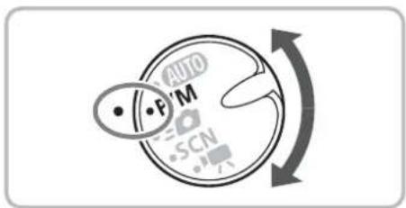 AUTO P M SCN