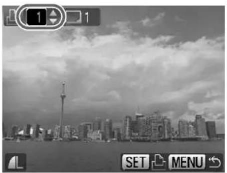 CANON IXUS 980 IS - Select an image. - 1