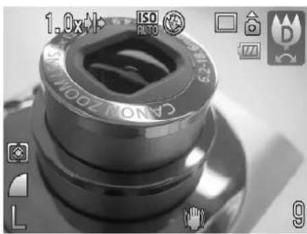 CANON IXUS 980 IS - Zooming In on Close Subjects (Digital Macro) - 1
