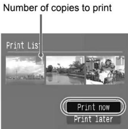 Number of copies to print Print List Print now Print later