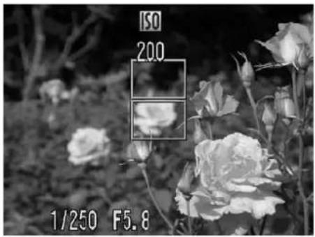 CANON IXUS 980 IS - Focus. - 1