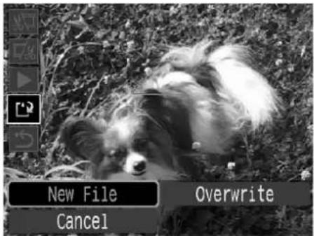 New File Cancel Overwrite