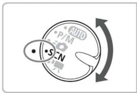 AUTO P/M SEN
