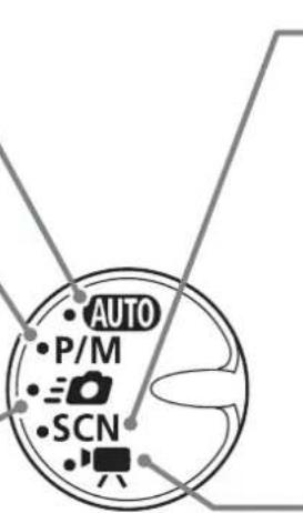 AUTO P/M SCN