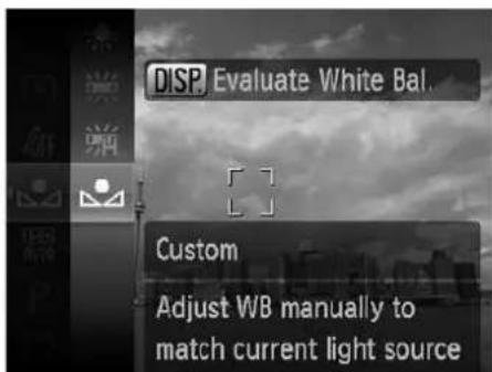 DISP Evaluate White Bal. Custom Adjust WB manually to match current light source