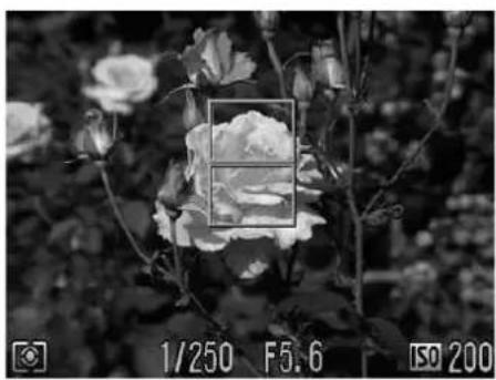 CANON IXUS 990 IS - Changing the Composition with the Focus Lock - 1