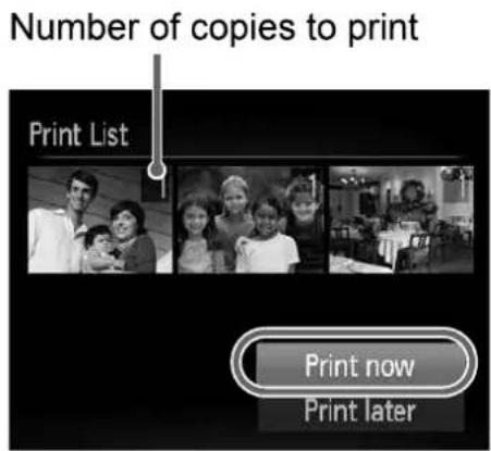 Number of copies to print Print List Print now Print later