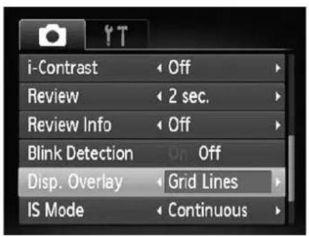 i-Contrast Review Review Info Blink Detection Disp. Overlay IS Mode Off 2 sec. Off On Off Grid Lines Continuous