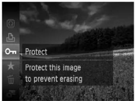 Protect Protect this image to prevent erasing