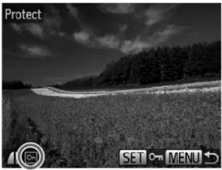 Protect SET MENU
