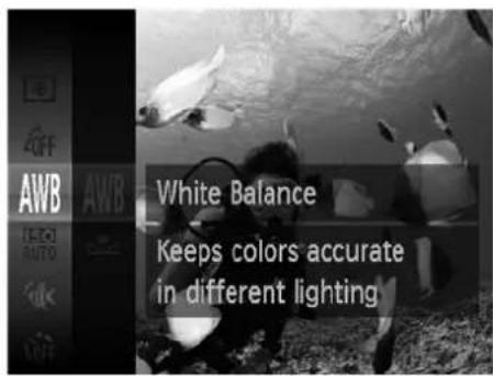 White Balance Keeps colors accurate in different lighting