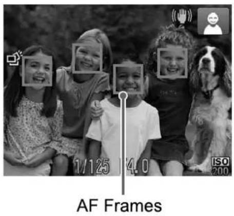 1/125 14.0 ISO 200 AF Frames