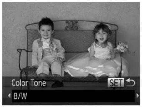 Color Tone B/W