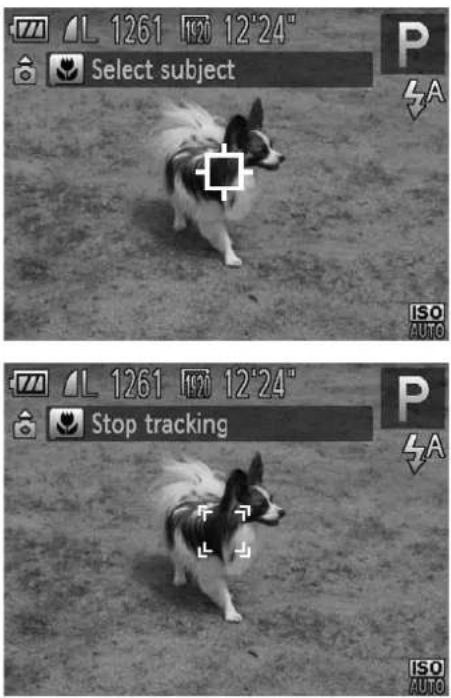 L 1261 1970 12'24" Select subject P A ISO AUTO L 1261 1970 12'24" Stop tracking P A ISO AUTO
