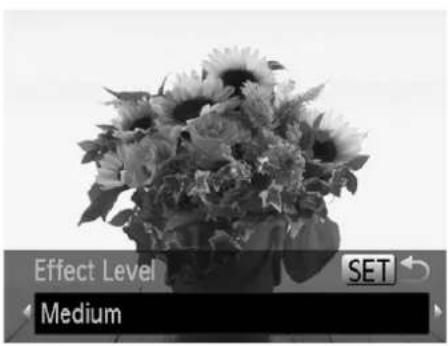 Effect Level Medium