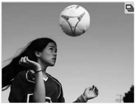 CANON IXUS 500 HS - Choose □. - 1