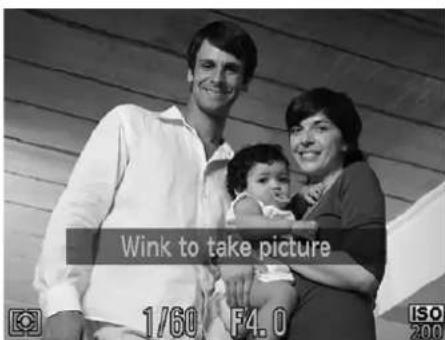Wink to take picture 1/60 F4.0 ISO 200