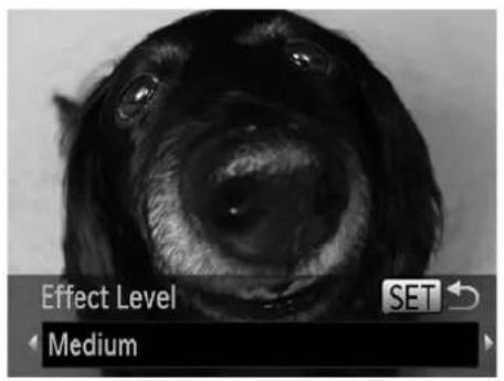 Effect Level Medium