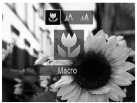 Macro