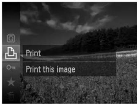Print Print this image