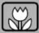 CANON IXUS 500 HS - Scene Icons - 27