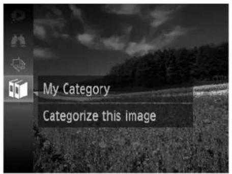 My Category Categorize this image