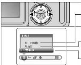 MAKE ALL FRAMES FRAME BACK