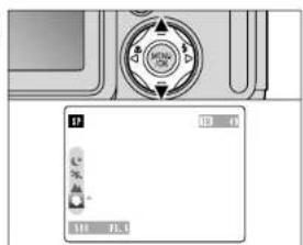 Camera control panel interface showing playback buttons and display settings