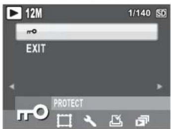 12M 1/140 EXIT PROTECT