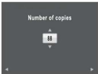 Number of copies 88
