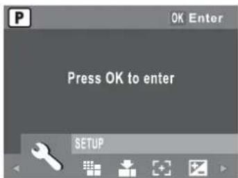 P OK Enter Press OK to enter SETUP