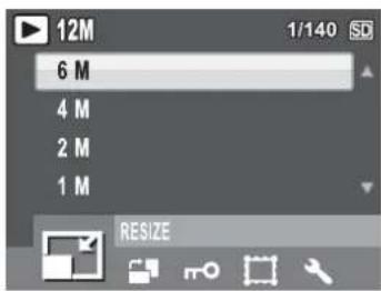 12M 6 M 4 M 2 M 1 M RESIZE