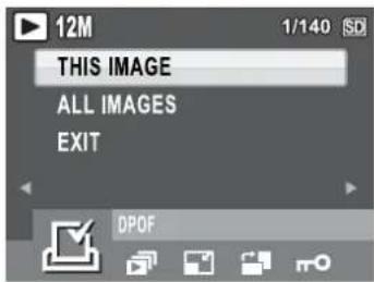 12M 1/140 SD THIS IMAGE ALL IMAGES EXIT DPOF