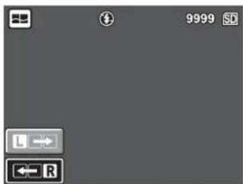 9999 SP L R