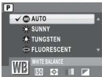 AUTO SUNNY TUNGSTEN FLUORESCENT WHITE BALANCE ISO