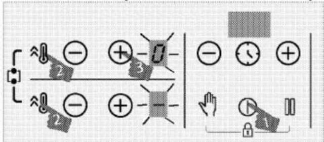 Diagram illustrating electric field lines and positive/negative charges with labeled symbols and directional arrows