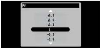 FV +0.9 +0.8 +0.3 0 -1.3 -0.8