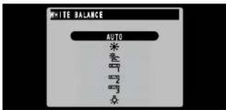 WRITE BALANCE AUTO ※ ☆ □ □ ☆
