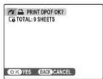 FUJIFILM FinePix A100 - Printing the DPOF Print Order - 5