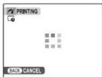 FUJIFILM FinePix A100 - During Printing - 1