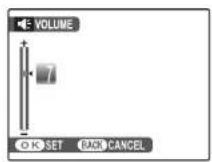 FUJIFILM FinePix A100 - PLAYBACK VOLUME - 1