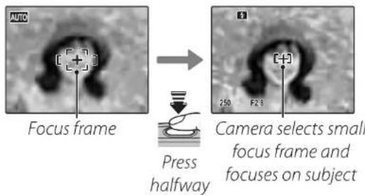 FUJIFILM FinePix A100 - Focus. - 1