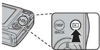 DISP /BACK