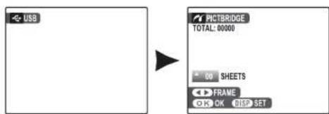 USB PICTBRIDGE TOTAL: 00000 * 50 SHEETS FRAME OK OK DISP SET