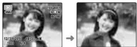 100:000 100 N 50:100 12/31/2050 10:00 AM 100 P28