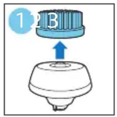 123