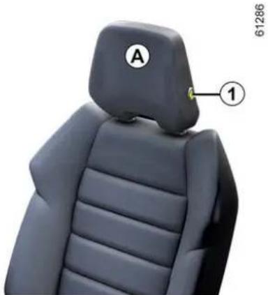 RENAULT Austral (2025) - smetnje u radu - 1