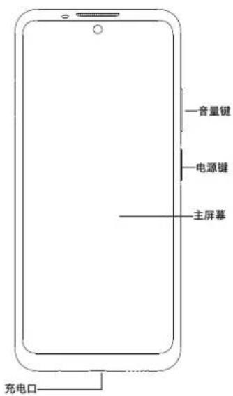—音量键 —电源键 —主屏幕 充电口