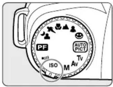 PENTAX MZ-L - フィルム感度を設定する - 2